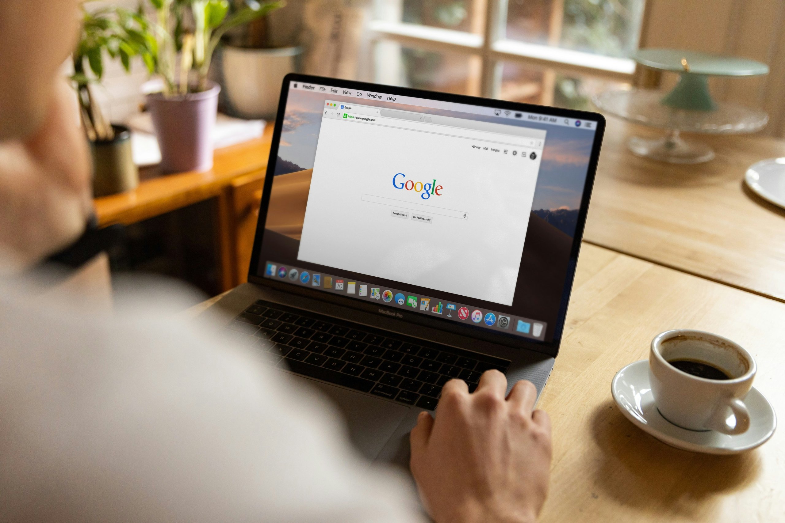SEO Support Total SEO